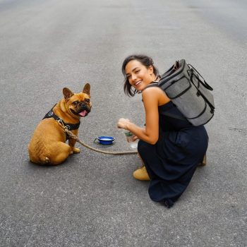 dog travel bag backpack 3692