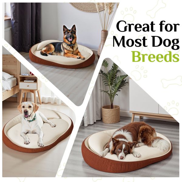 Premium Orthopedic Bed for Large Dogs - Non-Slip Foam - Image 3