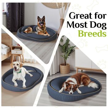 orthopedic bed for large dogs 08