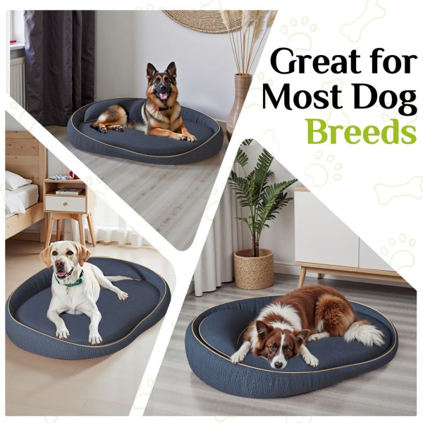 Premium Orthopedic Bed for Large Dogs - Non-Slip Foam - Image 8
