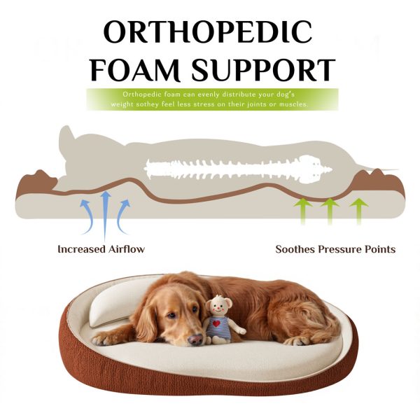 Premium Orthopedic Bed for Large Dogs - Non-Slip Foam - Image 9